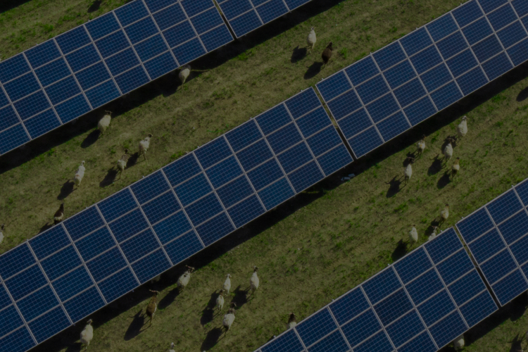 Micro Grid Solutions